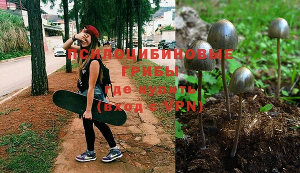 скорость Арсеньев