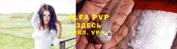 трава Аркадак
