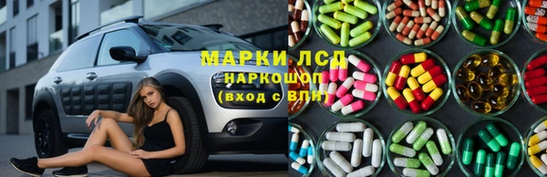 трава Аркадак