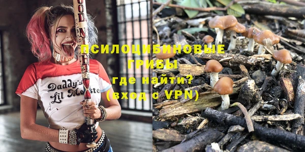трава Аркадак