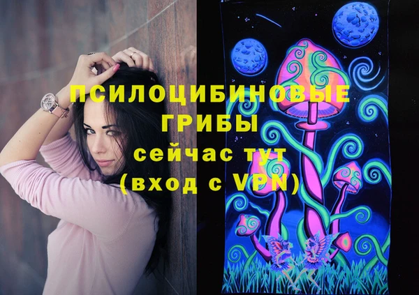 трава Аркадак