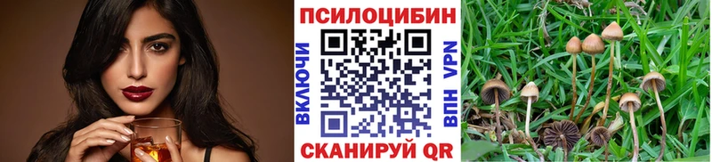 Псилоцибиновые грибы GOLDEN TEACHER  MEGA как зайти  Белая Холуница 